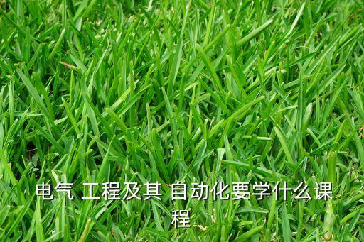  電氣 工程及其 自動(dòng)化要學(xué)什么課程