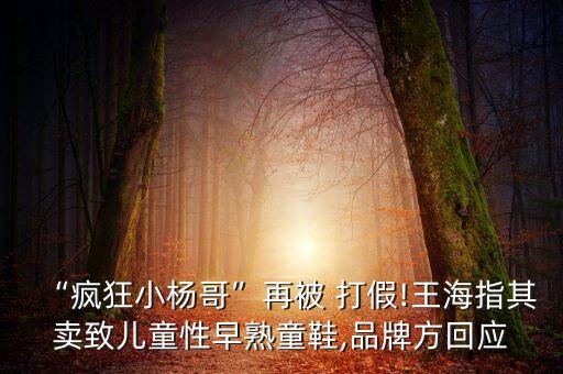 2014電子商務(wù)打假數(shù)據(jù),電子商務(wù)防偽打假法