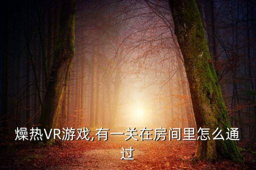燥熱VR游戲,有一關(guān)在房間里怎么通過