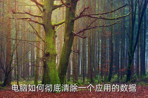 怎么清除電腦軟件數(shù)據(jù),電腦怎么清除下載軟件緩存?