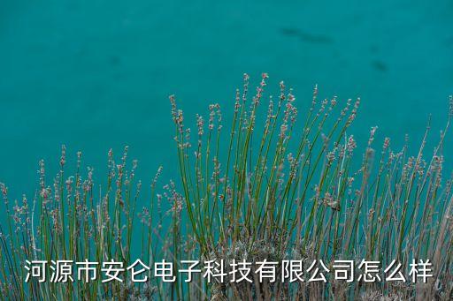  河源市安侖電子科技有限公司怎么樣