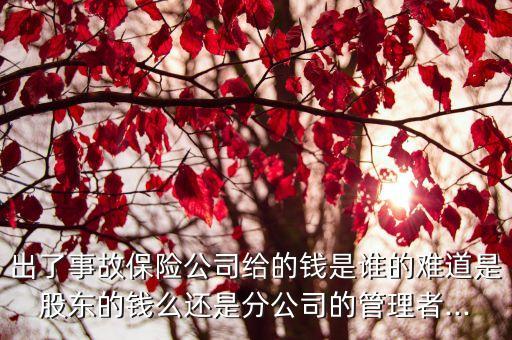 出了事故保險(xiǎn)公司給的錢是誰(shuí)的難道是股東的錢么還是分公司的管理者...
