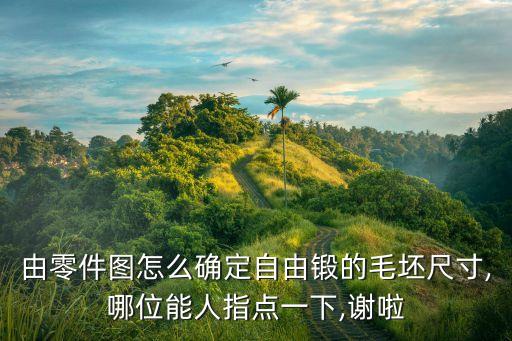 由零件圖怎么確定自由鍛的毛坯尺寸,哪位能人指點(diǎn)一下,謝啦