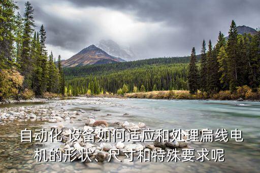  自動(dòng)化 設(shè)備如何適應(yīng)和處理扁線電機(jī)的形狀、尺寸和特殊要求呢