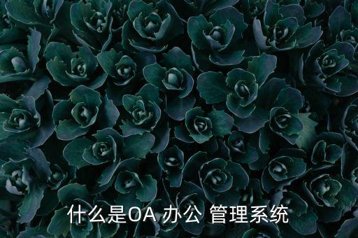 什么是OA 辦公 管理系統(tǒng)