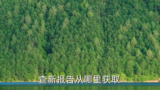 查新報告從哪里獲取