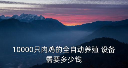 10000只肉雞的全自動養(yǎng)殖 設備需要多少錢