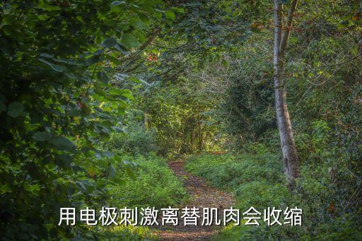 用電極刺激離替肌肉會收縮