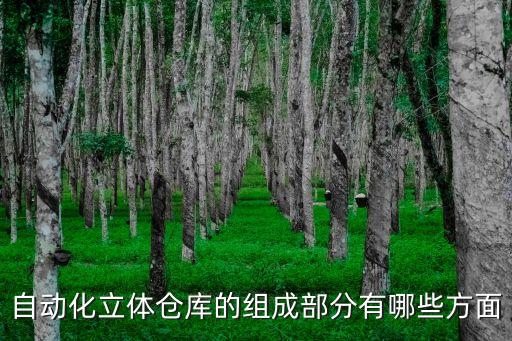 自動化立體倉庫的組成部分有哪些方面
