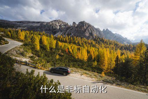 什么是非標(biāo)自動化