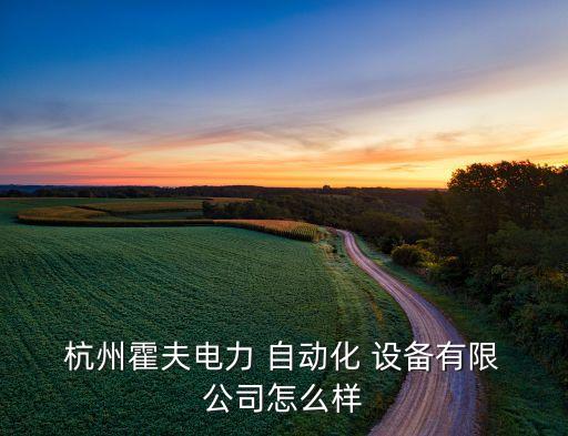  杭州霍夫電力 自動(dòng)化 設(shè)備有限 公司怎么樣