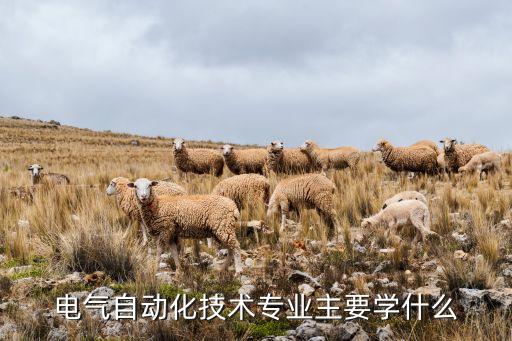 自動化設(shè)備編程與調(diào)試課程,自動化專業(yè)有哪些課程?