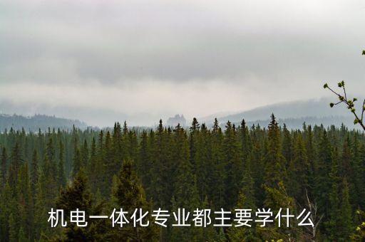 機電一體化專業(yè)都主要學什么
