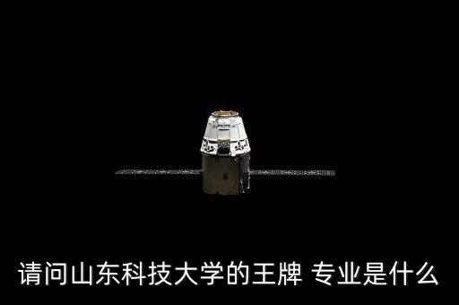 請問山東科技大學(xué)的王牌 專業(yè)是什么