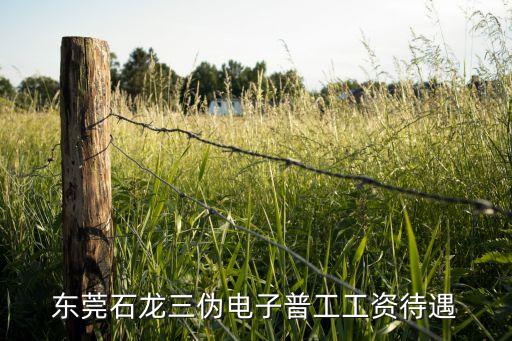 東莞石龍三偽電子普工工資待遇