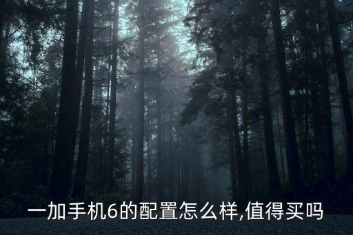 一加手機(jī)6的配置怎么樣,值得買嗎