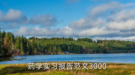 藥學(xué)實(shí)習(xí)報(bào)告范文3000