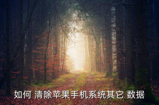 ios清除分析數(shù)據(jù),IOS系統(tǒng)數(shù)據(jù)怎樣清除