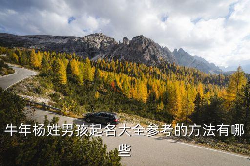 楊愷