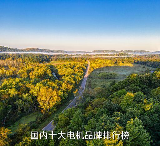 國(guó)內(nèi)十大電機(jī)品牌排行榜