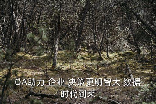 大數(shù)據(jù)與企業(yè)決策,企業(yè)決策數(shù)據(jù)來(lái)源包括