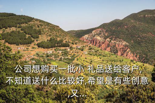  公司想購買一批小 禮品送給客戶,不知道送什么比較好,希望是有些創(chuàng)意,又...