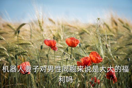 機(jī)器人妻子對(duì)男性同胞來(lái)說(shuō)是大大的福利嗎