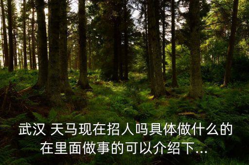  武漢 天馬現(xiàn)在招人嗎具體做什么的在里面做事的可以介紹下...