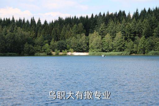 烏魯木齊水電氣自動(dòng)化,華水電氣自動(dòng)化就業(yè)咋樣?