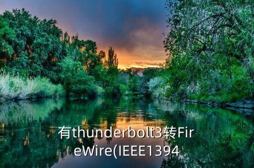 有thunderbolt3轉(zhuǎn)FireWire(IEEE1394