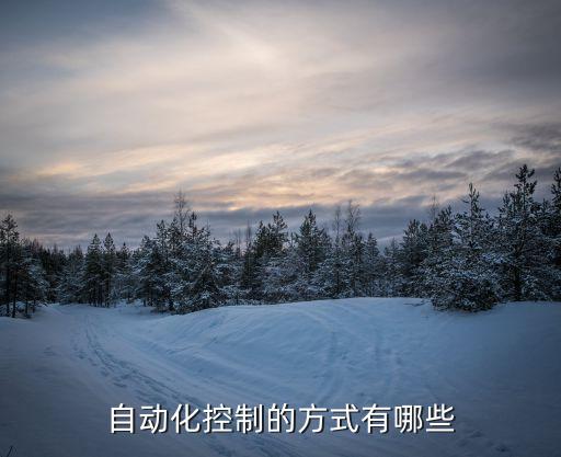 自動(dòng)化專業(yè)實(shí)體控制的特點(diǎn),專業(yè)介紹:自動(dòng)化是什么專業(yè)