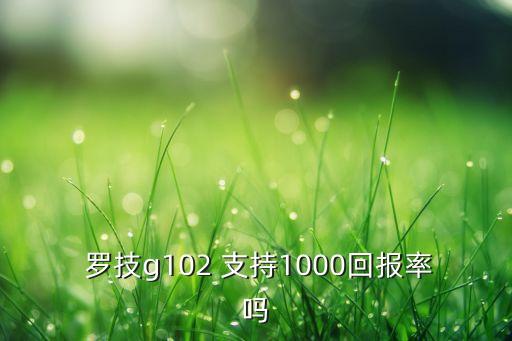 羅技支持