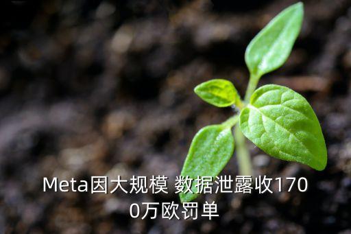 Meta因大規(guī)模 數(shù)據(jù)泄露收1700萬歐罰單