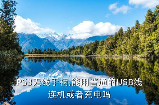 北通usb數(shù)據(jù)線,micro轉(zhuǎn)USb數(shù)據(jù)線