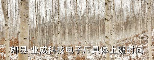 郫縣 業(yè)成科技電子廠具體上班時間