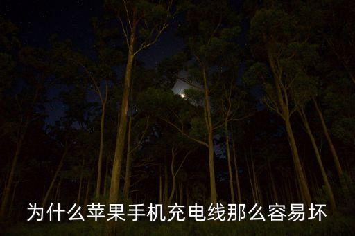 數(shù)據(jù)線損壞的原因,蘋果數(shù)據(jù)線為何這么容易壞?原因有很多!