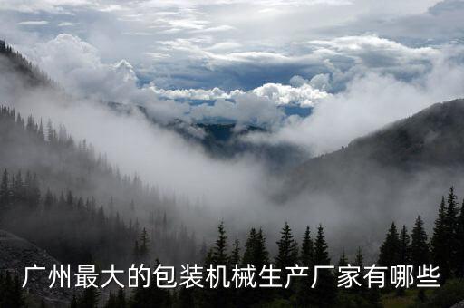 廣州最大的包裝機(jī)械生產(chǎn)廠家有哪些