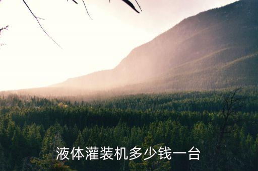 自動(dòng)化買什么設(shè)備多少錢,非標(biāo)自動(dòng)化設(shè)備什么意思