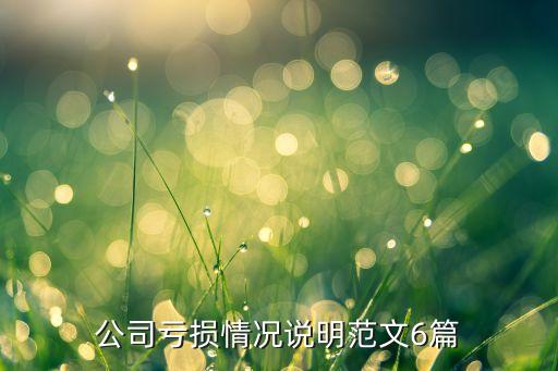 公司虧損情況說(shuō)明范文6篇