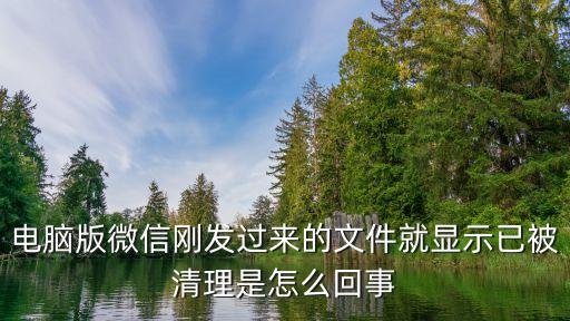 電腦版微信剛發(fā)過來的文件就顯示已被清理是怎么回事
