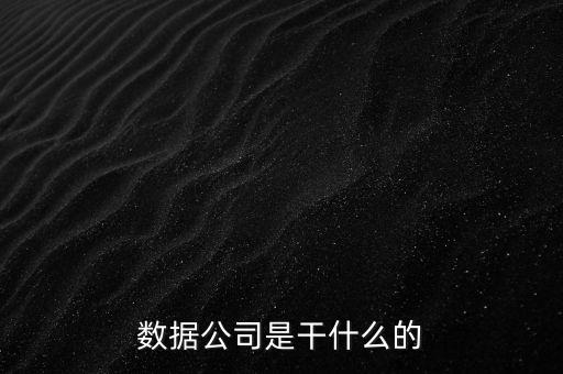 數(shù)據(jù)公司是干什么的