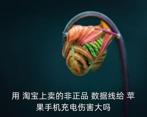 淘寶40快錢蘋果數(shù)據(jù)線