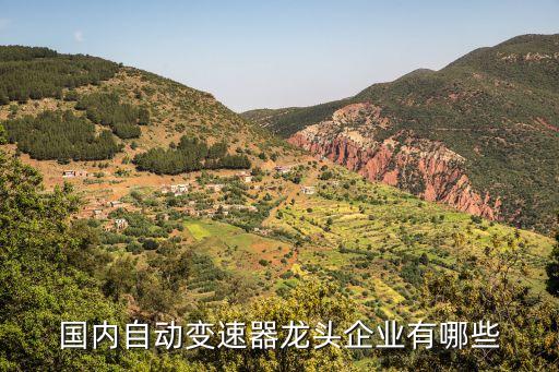國內(nèi)自動變速器龍頭企業(yè)有哪些