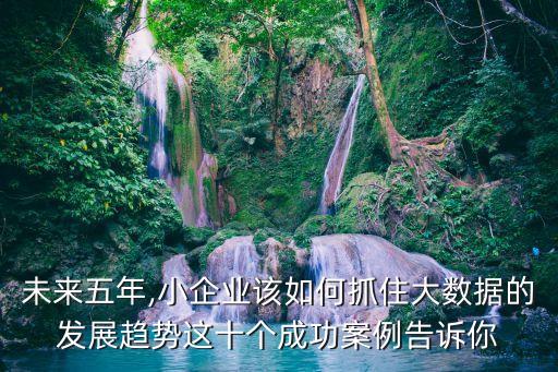 未來五年,小企業(yè)該如何抓住大數(shù)據(jù)的發(fā)展趨勢這十個成功案例告訴你