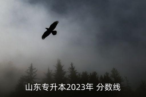 山東專升本2023年 分?jǐn)?shù)線