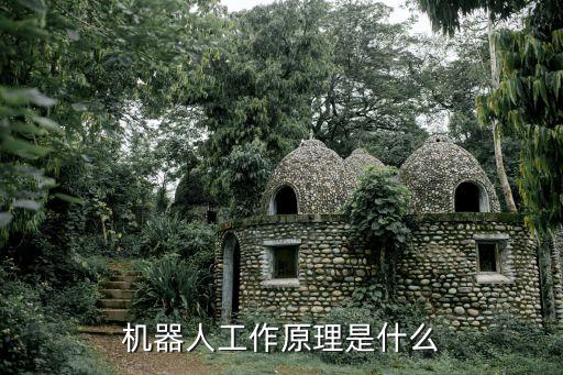 機(jī)器人靠什么控制的,固固工業(yè)機(jī)器人一般具有以下特性