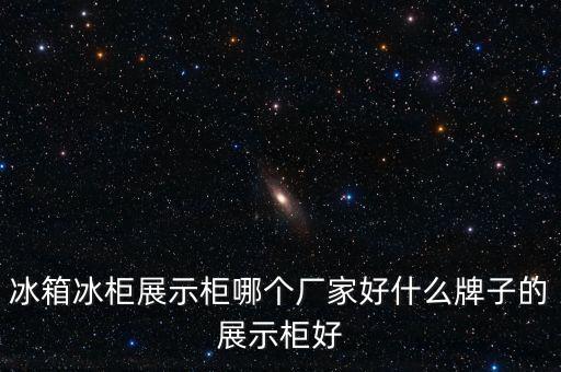 冰箱冰柜展示柜哪個(gè)廠家好什么牌子的展示柜好