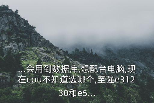 ...會(huì)用到數(shù)據(jù)庫,想配臺(tái)電腦,現(xiàn)在cpu不知道選哪個(gè),至強(qiáng)e31230和e5...