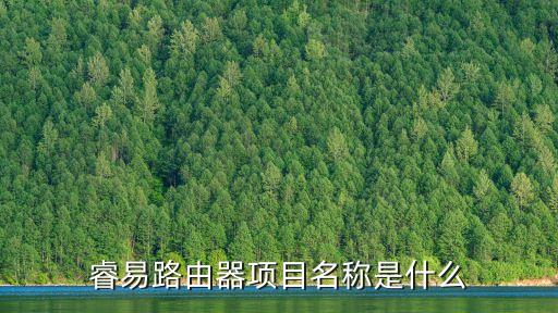 睿易路由器項目名稱是什么