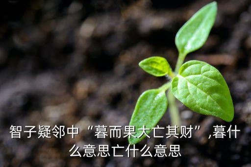 智子疑鄰中“暮而果大亡其財”,暮什么意思亡什么意思